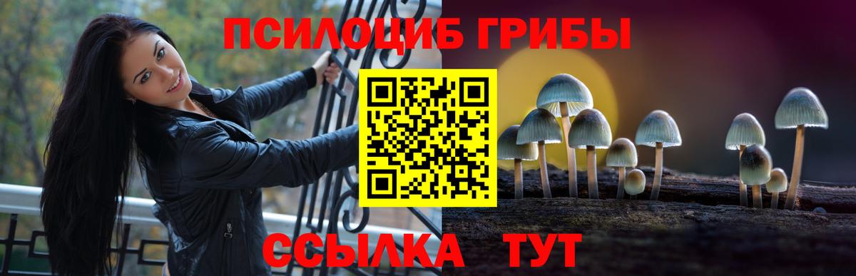 Сызрань  Псилоцибиновые грибы Cubensis  Вход с VPN 